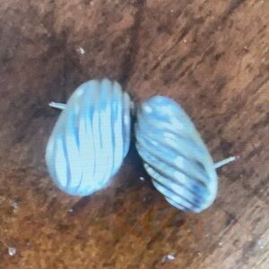 Elegant Silver Swirl Earrings